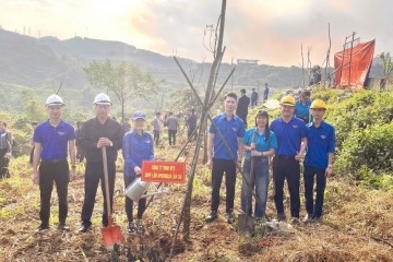 SUPE LÂN APROMACO LÀO CAI CHUNG TAY HƯỞNG ỨNG “TẾT TRỒNG CÂY XUÂN BÍNH NGỌ 2026”