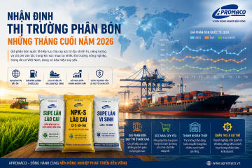 NHẬN ĐỊNH VỀ THỊ TRƯỜNG PHÂN BÓN NHỮNG THÁNG CUỐI NĂM 2026