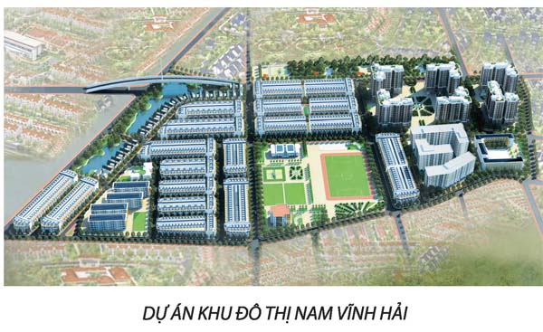 TỔNG GIÁM ĐỐC TRỰC TIẾP CHỈ ĐẠO ĐẨY NHANH ĐỒ ÁN ĐIỀU CHỈNH QUY HOẠCH CHI TIẾT 1/500 DỰ ÁN KHU DÂN CƯ NAM VĨNH HẢI