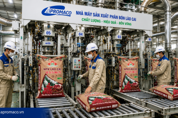PHÂN BÓN PHOSPHATE TRƯỚC ÁP LỰC KÉP: GIÁ NGUYÊN LIỆU CAO, SỨC MUA NÔNG NGHIỆP SUY YẾU