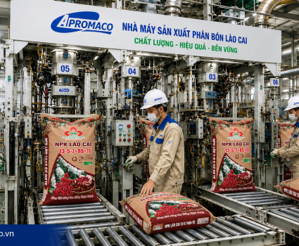 PHÂN BÓN PHOSPHATE TRƯỚC ÁP LỰC KÉP: GIÁ NGUYÊN LIỆU CAO, SỨC MUA NÔNG NGHIỆP SUY YẾU