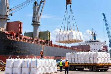 THỊ TRƯỜNG PHÂN BÓN QUÝ IV/2026: GIÁ KHÓ GIẢM SÂU, SỨC MUA VẪN LÀ “NÚT THẮT”